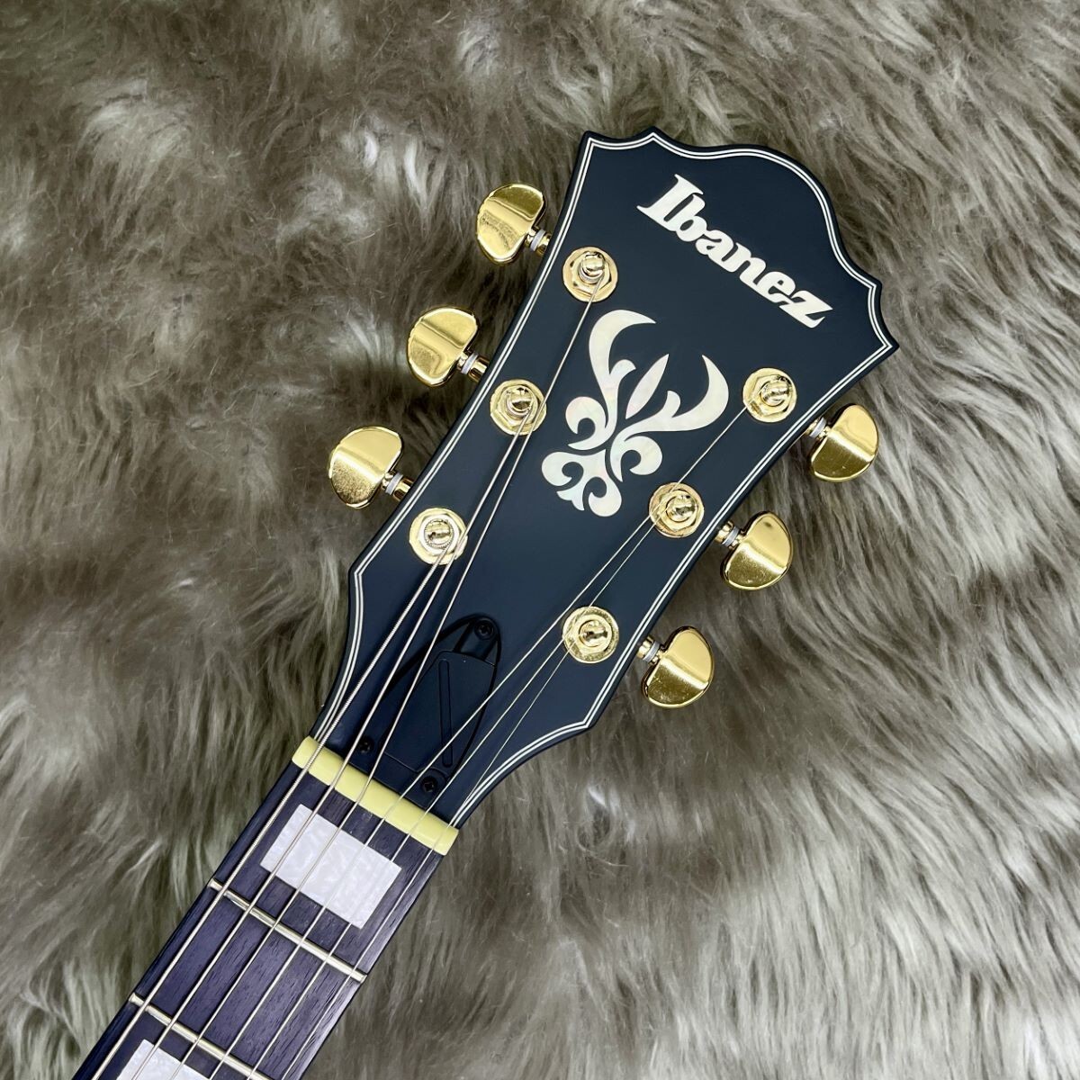 ギター Ibanez AG85-BKF Ibanez Full Acoustic Electric Guitar AG85 BKF 2023 Model w