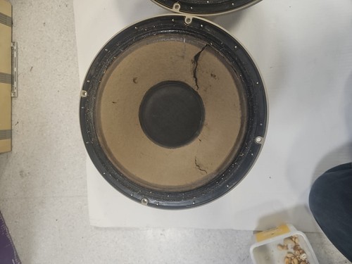 Coppia di unità di azionamento Tannoy Monitor 12" Gold LSU/HF/12/8 - Funzionanti ma danneggiati. - Foto 14 di 24