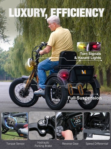 Tour Lite 1200W Electric Tricycle for Adult 48V 20AH LG Battery Fat Tire 3 Wheel - Picture 5 of 9