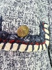 Foto 3 di 9