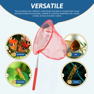 5 Pcs Insect Catching Net Kids Fish Telescopic Butterfly Child | eBay