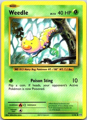 Weedle 5/108 XY - Evolutions Common -NM