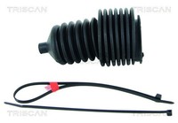 Triscan Faltenbalgsatz Lenkung 8500 25000 FüR Renault 21 25 Clio 1 Super 11 19 2