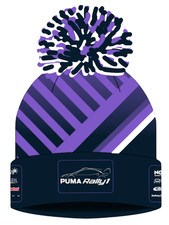 Official Ford Motorsport WRC Puma Rally 1 Bobble Beanie Hat - MSSH282