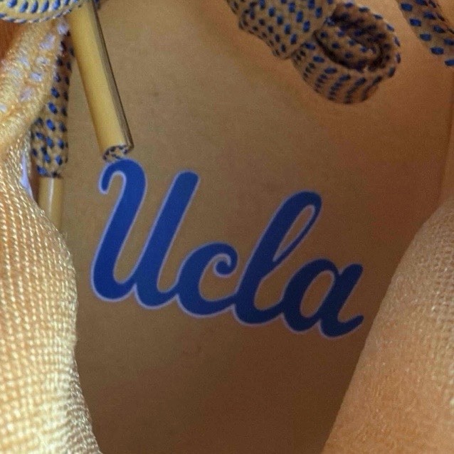 SIGNED Air Jordan 37 UCLA Home PE Size 7 Sample Basketball  display picture 1