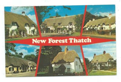 Hampshire New Forest Thatch Lyndhurst Colourmaster Int Mehransicht Postkarte ca. 1982