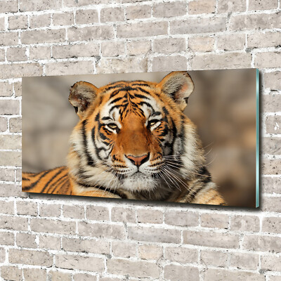 Wandbild aus Plexiglas  Druck auf Acryl 140x70 Tiere Bengalischer Tiger