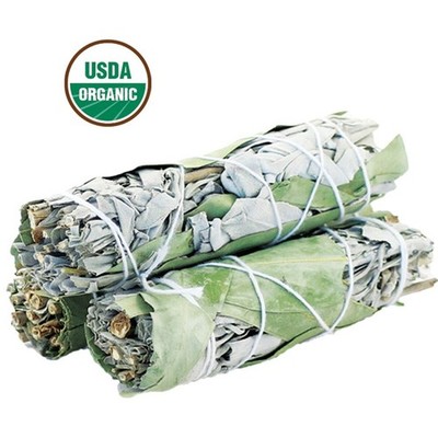 Sage Smudge Sticks 4'' Mixed White Sage USDA Organic 3 Pack Smudging Guide