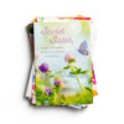 DaySpring - Secret Sister - Sweet Messages - 12 Boxed Cards & Envelopes (12 Desi