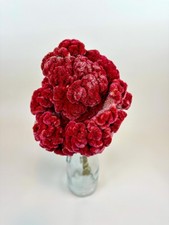 Coxcomb Celosia -  Burgundy Collection Dried Flowers