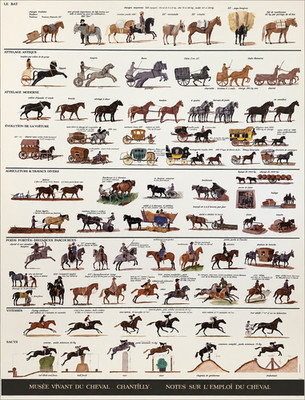Musee Vivant du Cheval Chantilly Vintage Horse Equestrian Poster France