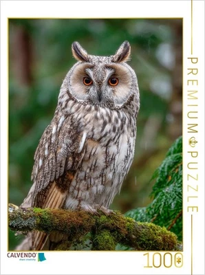 CALVENDO Puzzle Waldohreule im grünen Wald | 1000 Teile Lege-Größe 64x48cm Foto-
