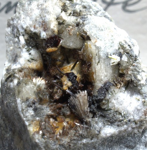 NEIGHBORITE FINE RARE Mineral Specimen MSH CANADA - Bild 5 von 7