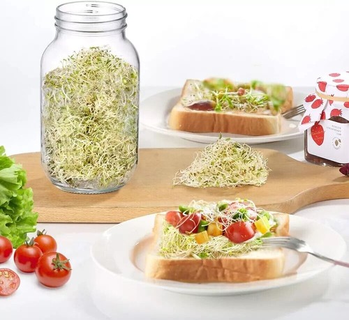 Sprossenglas Keimglas 2er Set Sprouting jar Keimgläser für Sprossen 750ml 21,8cm - Bild 6 von 7