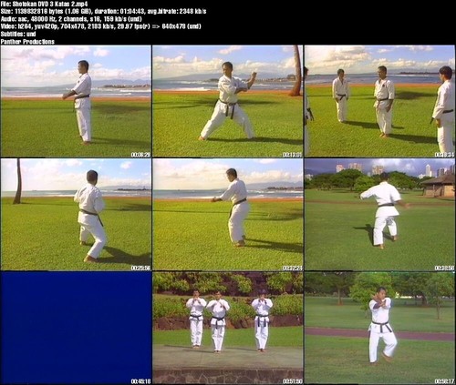 Mastering Shotokan Karate starring Kenneth Funakoshi (10 DVD Set) - Picture 4 of 11