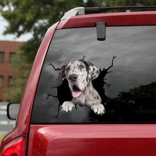 Great Dane peeking car vinyl decal, dogs car decal, pet decor