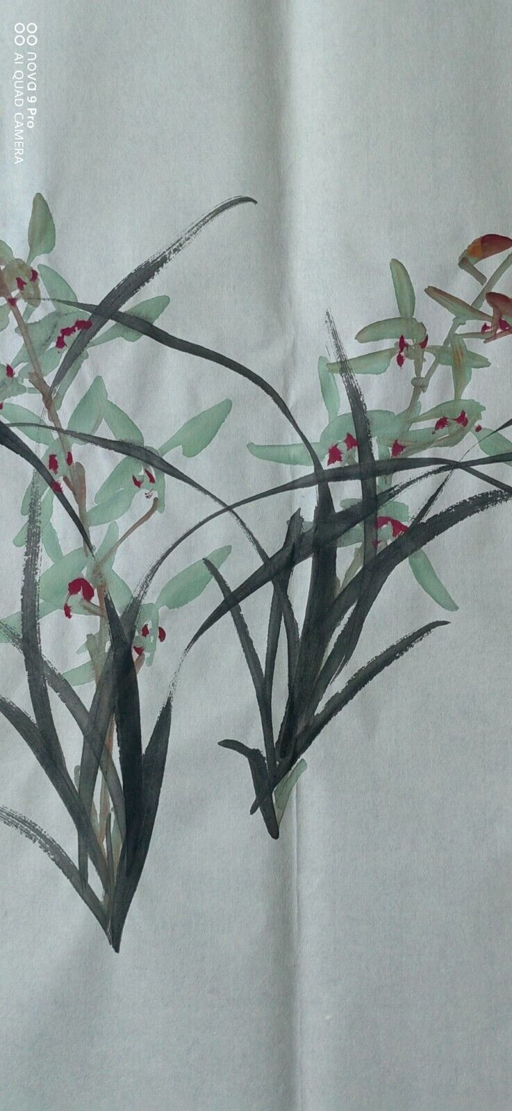 Bild 6 von 7