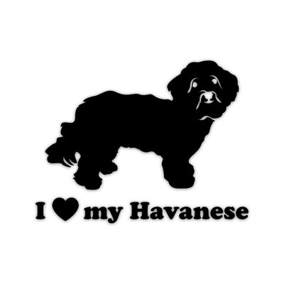 I Love My Havanese Vinyl Sticker Die Cut Weatherproof UV Protected