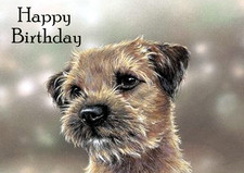 BORDER TERRIER DOG BIRTHDAY CARD HEAD STUDY GREETING NOTE CARD