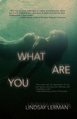 Lindsay Lerman | What Are You | Taschenbuch | Englisch (2022) | Clash Books