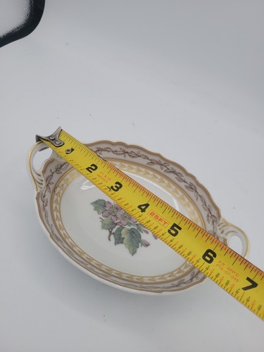 Vintage A. K. Kaiser Handled Serving Dish Plantage K Nossek Bauch Porzellan - 第 4/5 張圖片