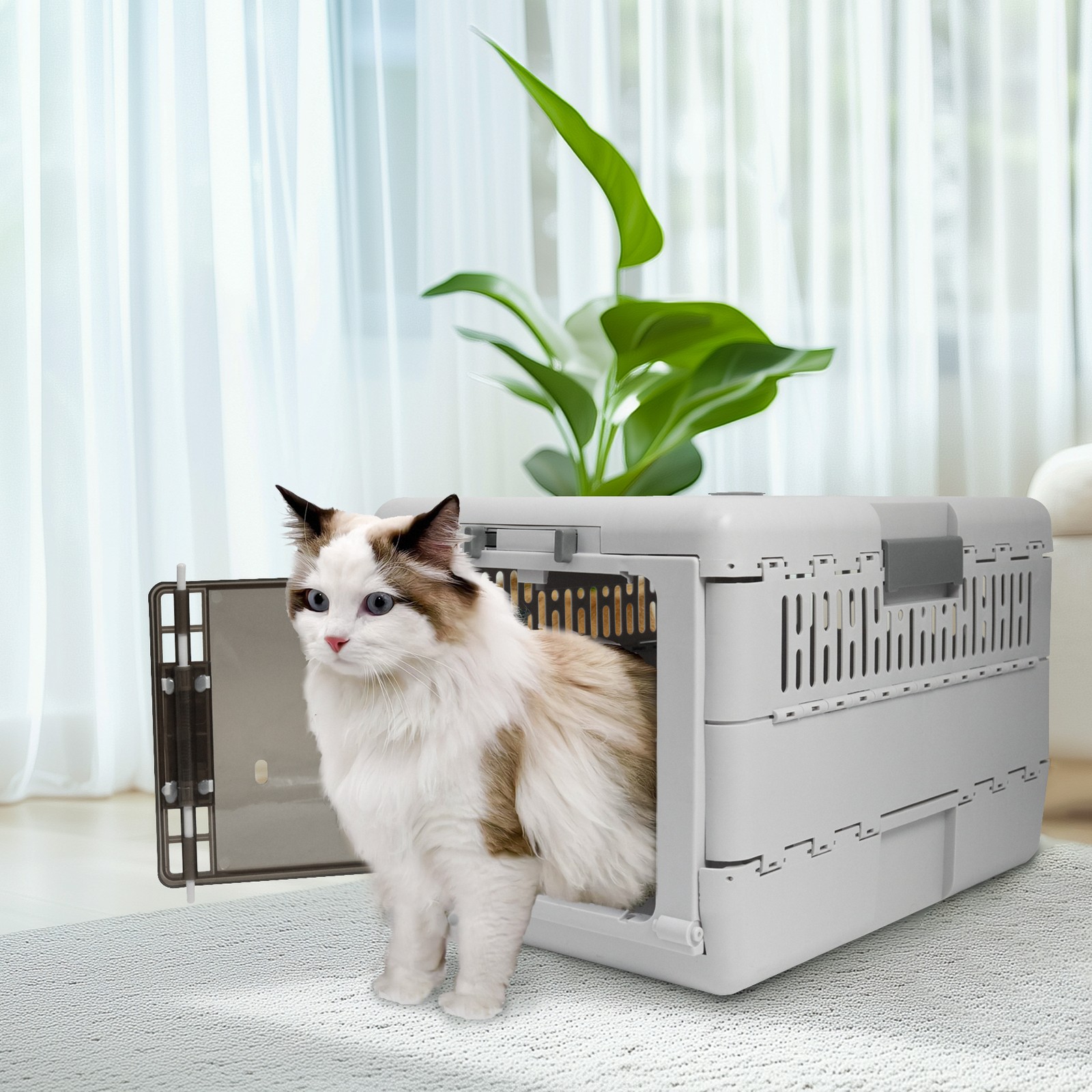 Collapsible Pet Kennel Premium Hard Plastic Cat Carrier Box for Outdoor Travel