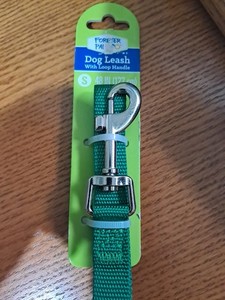 Dog Leash Green 48in