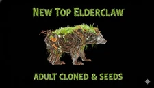 New top Elderclaw 755% Melee-clones-seeds Ark Ascended Pve Official PC/XBOX/PS5