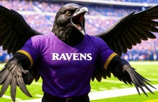 Baltimore Ravens NFL Mascot   8x10  11x14  11x17  12x12 AI Generated Photo