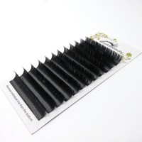 Primer Black Ellipse Flat Eyelash Extension 0.15mm Thickness C Curl 8mm To 14... on sale Primer Black Ellipse Flat Eyelash Extension 0.15mm Thickness C Curl 8mm To 14... on sale