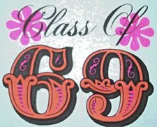 Class Of 69 Vintage 70's  T-Shirt transfer Iron on  X 211