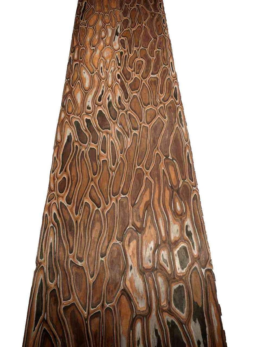 Placage Bois Maser Nero SaRaiFo 250x63cm ✦ Ronce Véritable ✦ épaisseur 0,45mm