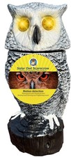 Snowy Solar Owl With Detection Flashing Eyes Spinning Head And Realistic Hoots P