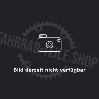 Centurion Bolzenkit inkl. Federbeinbolzen f. Lhasa R Intube II MY22 Größe L -...