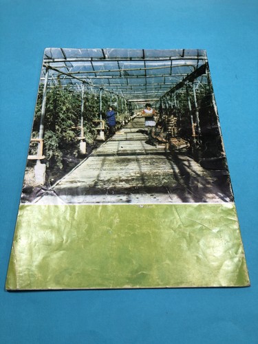 OLD ALBANIAN PUNA MAGAZINE-1983-NR.4-COMMUNISM TIME-PROPAGANDA-ILLUSTRATED-28pgs - Picture 2 of 12