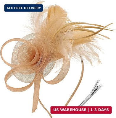 DRESHOW Fascinators Hats for Women Tea Party Fascinator Hats Vintage 50s Headwea