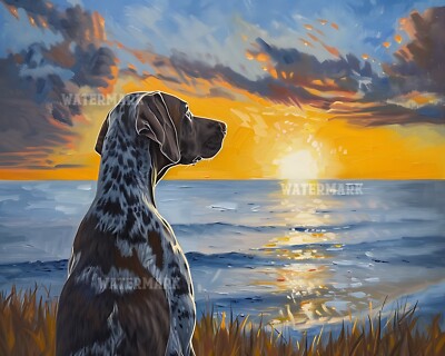 8x10 Matte Print German Shorthaired Pointer at Beach Sunset