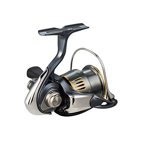 DAIWA 23 AIRITY LT2500S-XH Gear 6.2 | eBay