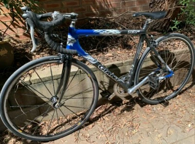 giant tcr gumtree