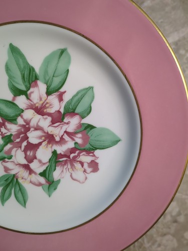 Greenbrier Resort Hotel Homer Laughlin Newell, WV 10.5" Dinner China Plate RARE
