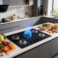 w/5 Burners Built Stove Natural Gas Cooking Stove Cooktop Gas Hob Kitchen Cooker
