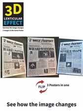 Harry Potter-Daily Prophet3-3D Lenticular Fli...