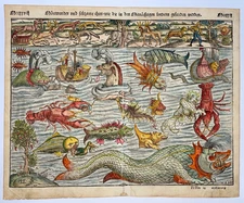 SEA MONSTER MAP 1564 SEBATIAN MUNSTER UNUSUAL ANTIQUE MAP 16TH CENTURY