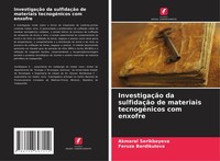 InvestigaçãO Da SulfidaçãO De Materiais TecnogéNicos Com Enxofre Taschenbuch