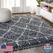 Mercer Shag Plush Tassel Rug - Blue & Cream - 4x6