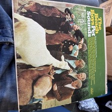 Beach Boys Pet Sounds 1st Mono Pressing 1966 Capitol T-2458 Rare LP Scranton