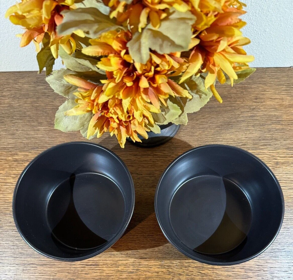 Stone + Lain Black Bowls Set of 2 Dinnerware Modern Ledge Stoneware Matte EUC - Image 3 of 4