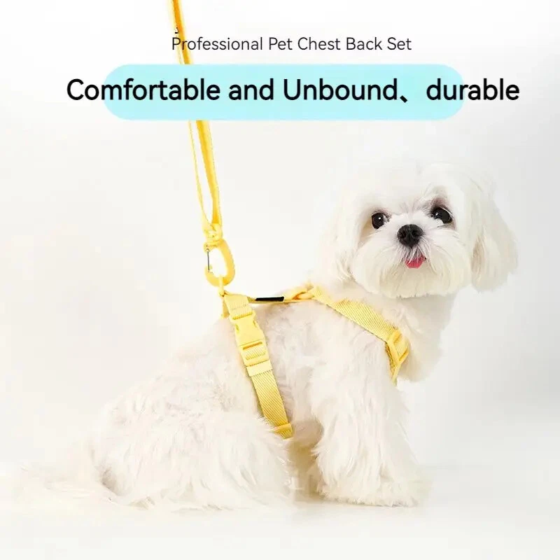 Dog Harness Collar Leash Macarone Color Pet Small Dog Accessories Cat Supplies