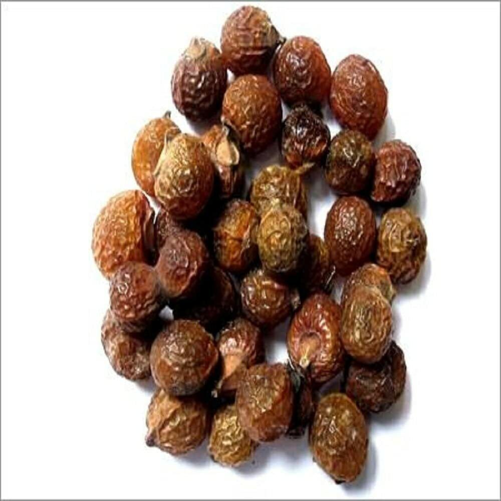 Whole Aritha/Soap Nut/Sapindus Pods/Fruit Whole Raw/Hair Care/Wash From India | eBay Whole Aritha/Soap Nut/Sapindus Pods/Fruit Whole Raw/Hair Care/Wash From India | eBay