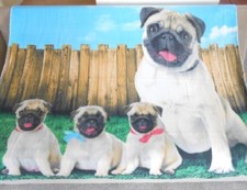 New Soft Pug Family Pugs Fleece Throw Gift Blanket Puppy Dog Breed Lover Tan NIP